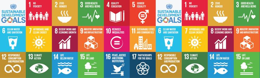 Health in the Sustainable Development Goals 13 Targets 26 Indicators 3.