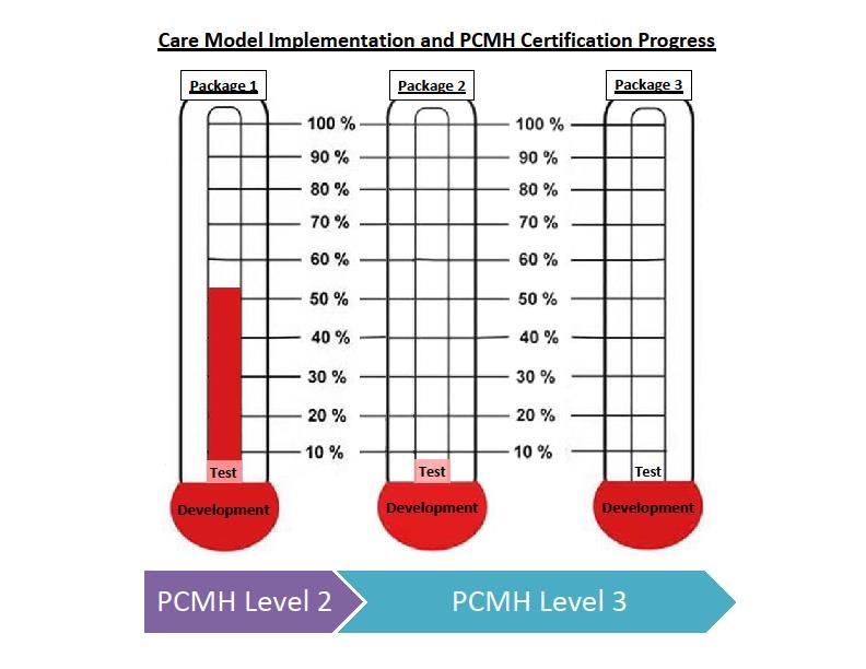 Care Model Implementation