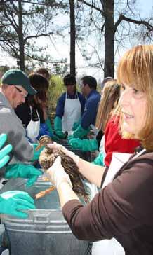 Use of Volunteers (continued) Potential use of volunteers during an oil spill Wildlife rehabilitation Shoreline cleanup support Public relations & community