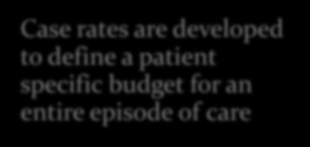 define a patient specific budget