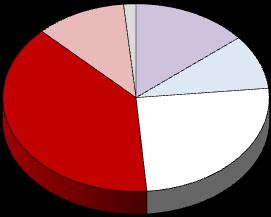 Survey Respondents By Classification Classification