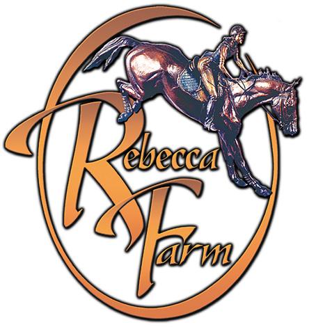 2017-2018 REBECCA BROUSSARD DEVELOPING INTERNATIONAL RIDER GRANT PROGRAM Available through the generosity of: The Broussard Charitable Foundation Administered by: The USEA Foundation BACKGROUND: This