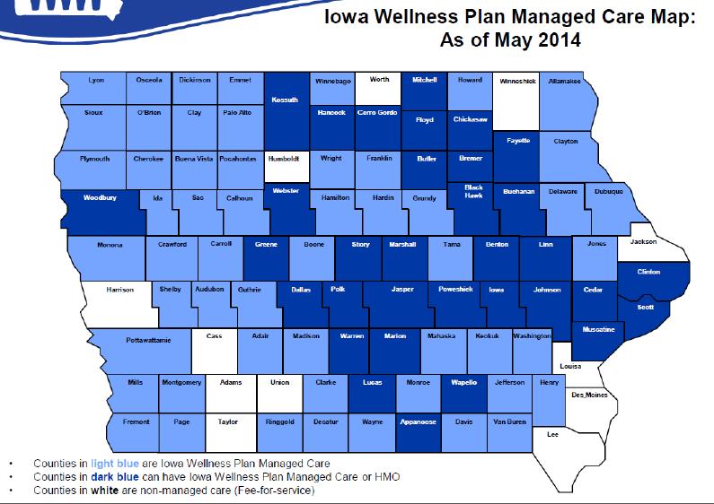Wellness Plan Managed Care White Medicaid Fee-For- Service using existing Medicaid Provider Network (no incentives) Light Blue