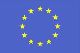 II bendras Europos socialini partneri organizacij projektas Restruktrizavimo naujose valstybse narse studija