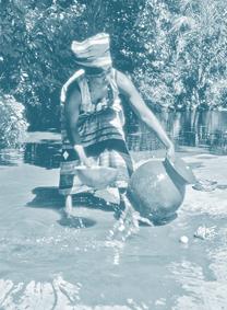 10 WSP 2005 Annual Report: Improving Lives Through Better Water and Sanitation Services Productive Use and Gender.