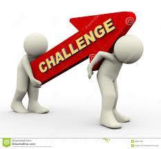 Challenges Professional and demanding customer