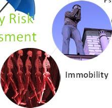 2014 Falls Patient Handling (existing) Security Safety Risk