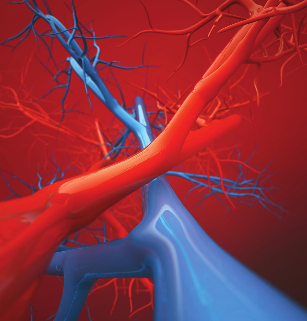Supplement to February 2016 Building a System-Wide Vascular