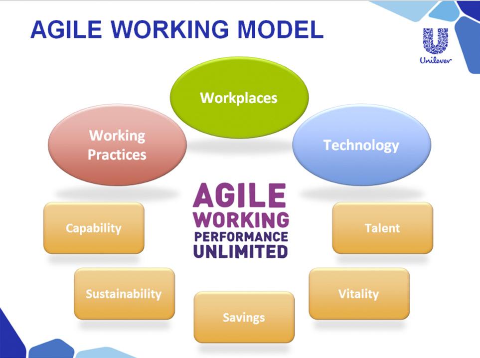 Figure 4: Unilever s Agile Working model, displaying the main pillars and outputs.