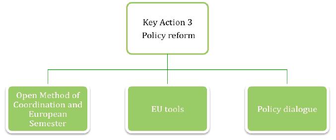 Key action 3 Support for policy reform Development of indicators Policy analysis Comparative studies Development of national implementation of