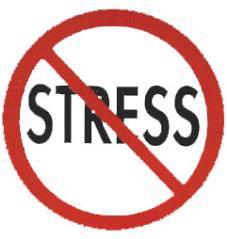 Dealing with Stress and Anxiety It s OK to be a Little Nervous You re the Expert in Your Venture Pause, Look Around Breathe Locate Friendly Faces Drink Water The Audience