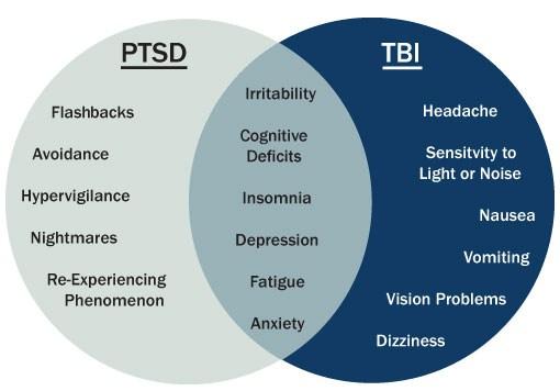 Invisible Wounds Up to 1/3 of student veterans may be struggling with invisible wounds of war: traumatic brain injury, posttraumatic stress disorder or