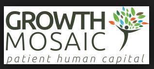 Growth Mosaic supports small and growing businesses to access and manage investment some of their portfolio are hybrid-model social enterprises Reach for Change hold an annual social enterprise