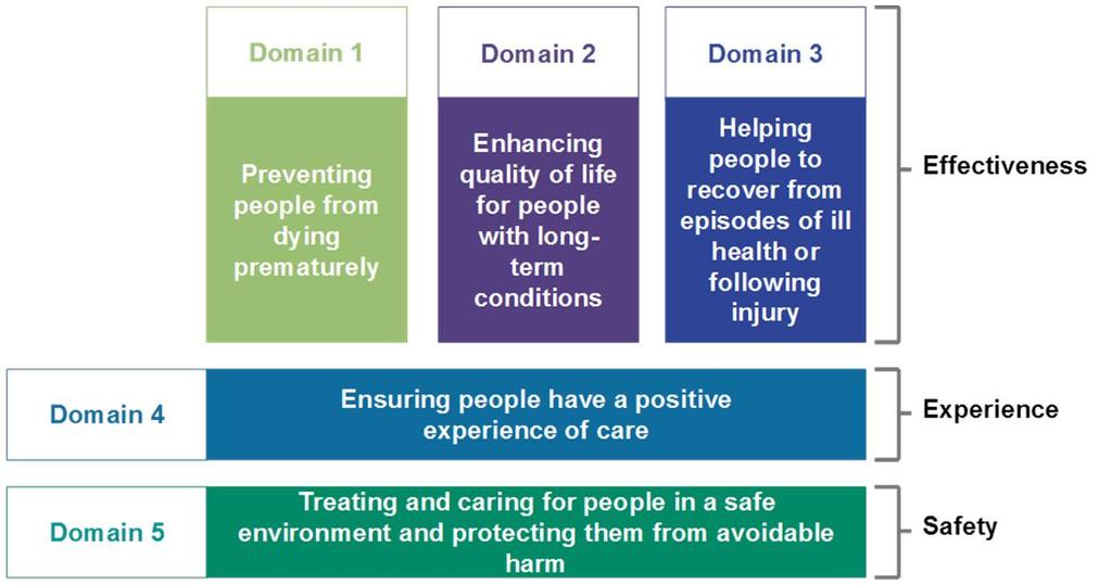 2.1 THE DOMAINS OF THE NHS OUTCOMES FRAMEWORK This Outcomes Framework underpins the delivery of this Commissioning for Quality Framework with continuous improvement in the quality of services secured