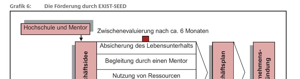 EXIST-SEED Universities and Mentors Evaluation after 6 months