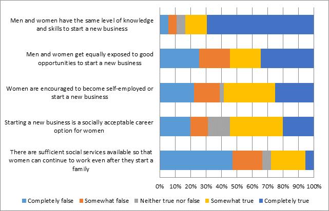 respondents also pointed to what they perceived as inadequate coverage of entrepreneurial skill development at the primary and secondary school levels (Figure 32).