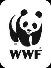 WWF +