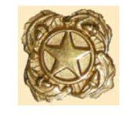 NEXT OF KIN LAPEL BUTTON The Next of Kin Lapel Button consists of a gold star within a circle (commemorating honorable service) surrounded