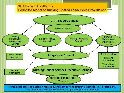 Nursing Excellence - Nursing Excellence is the practice of professional nursing through shared leadership/governance, our professional practice model, and monitoring of nursing sensitive quality