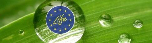 WELCOME TO LIFE http://ec.europa.eu/environment/life/funding/life.htm http://www.lifepalyazatok.eu/ Dr.