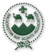 Report ON Scout Services in Floods