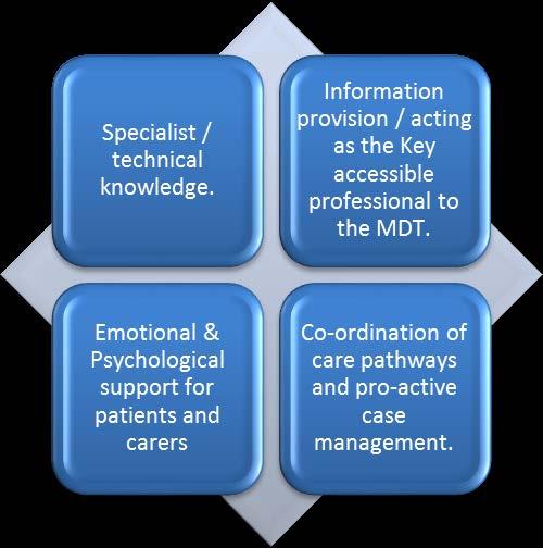 3. Functions of the Clinical Nurse Specialist: The key domains of the Specialist Nurse role can be described as: Technical Information provision & improving patient experience Emotional /