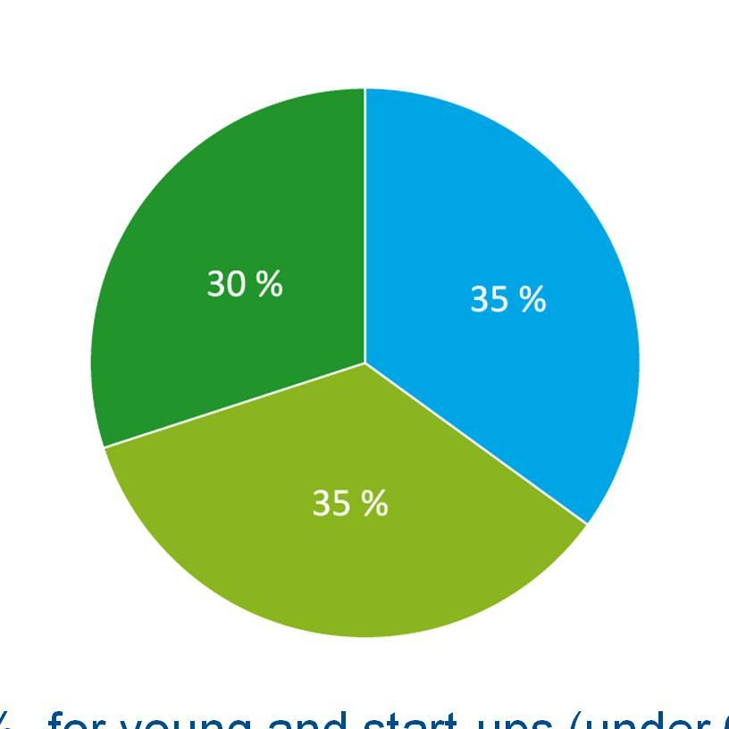 Funding targets by customer type 1/3 universities and research institutes 2/3* for companies research, development and innovation projects 35 % for young and