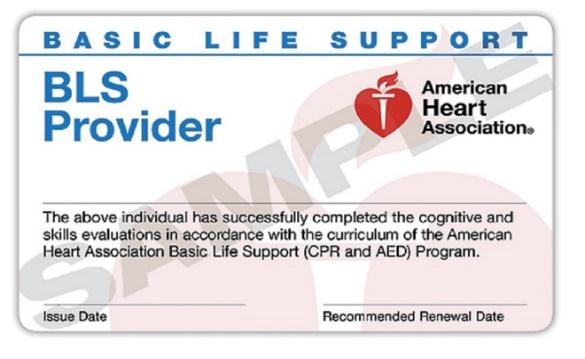 Provider Certification These CPR certifications are
