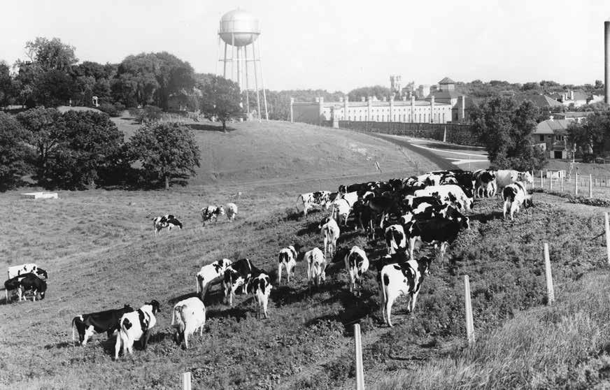 Farms were maintained at nearly all the institutions (including those now considered DHS institutions) and supplied them with milk, eggs, meats, vegetables and fruit.