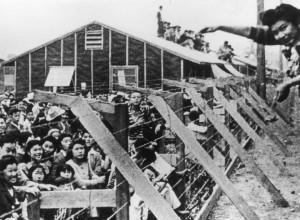 The internment of Japanese Americans on the West Coast was a glaring exception to racial tolerance, a reminder of the fragility of civil liberties in wartime.