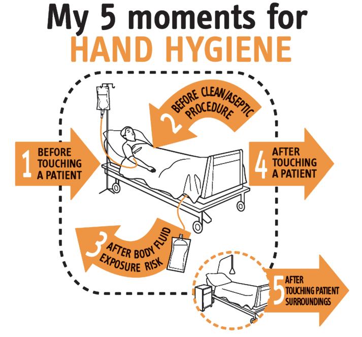 PART I. REVIEW OF SCIENTIFIC DATA RELATED TO HAND HYGIENE Figure I.21.