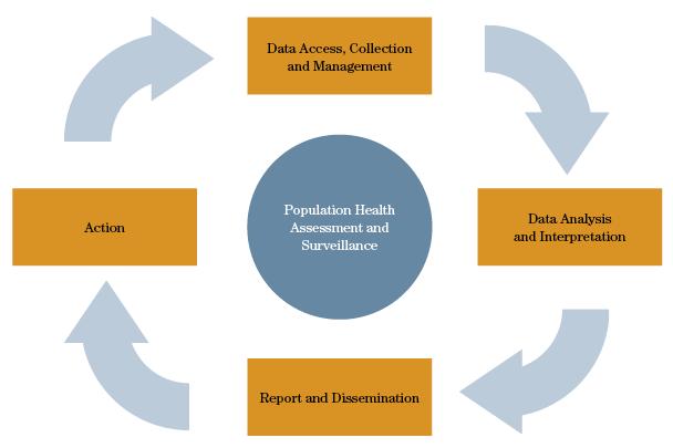 Operational Roles and Responsibilities The population health assessment and surveillance cycle Population health assessment and surveillance entails data access, collection, and management; data