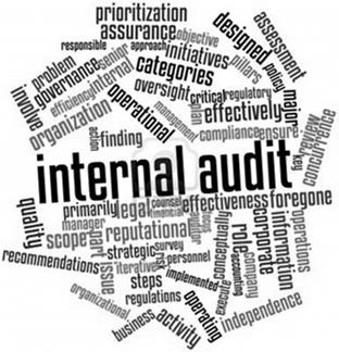 Step 9 Conduct Internal Auditing and Monitoring Create an audit plan and update regularly Review Proactively, Not Retroactively Evaluate the cause of any issues Establish corrective plans Further