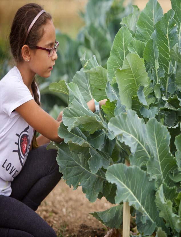 USDA Farm to School Grant Program Overview + How to Apply Mieka