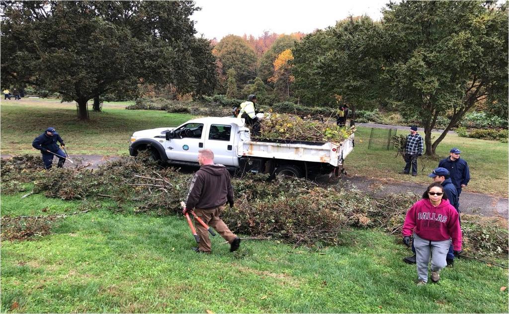Park clean-up activities including flower bed maintenance, overlook deck staining and invasive plant
