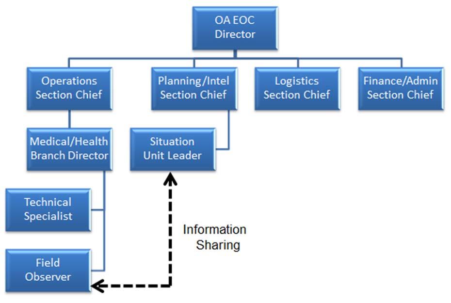 Medical Health Branch Organization Chart VI.