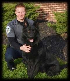 Nero was involved in 9 narcotic arrests. Nero has recovered marijuana, heroin, and methamphetamine.