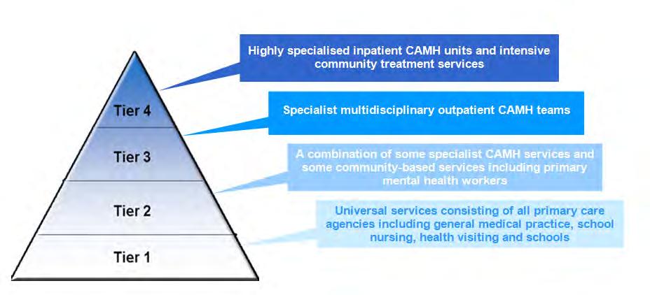 2 CAMH services in Scotland an overview In Scotland, CAMH services are generally delivered through a tiered model of service organisation (see Figure 1 below and Appendix 4 for more detail).