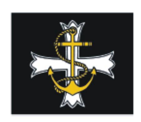 Fig 39E-7m. Chaplains' Badge (no sleeve lace worn) Fig 39E-7n. QARNNS Officers b.