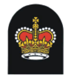 All other Operations Branch Badges are currently under review.