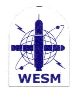 ET(WESM) Rate/Stream Embroidery Badge ET(WESM)2 ET(WESM)1 LET(WESM) POET(WESM) CPOET(WESM) WESM WESM with Star Above