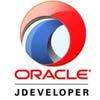 Information Management Systems Database Design and Development Oracle and SQL expertise