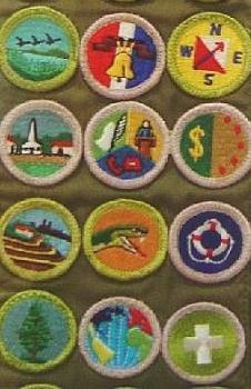 What is a Merit Badge Counselor The merit badge counselor s role is to bring about learning on the part of the Boy Scout As a coach, the counselor advises the Scout concerning steps he should