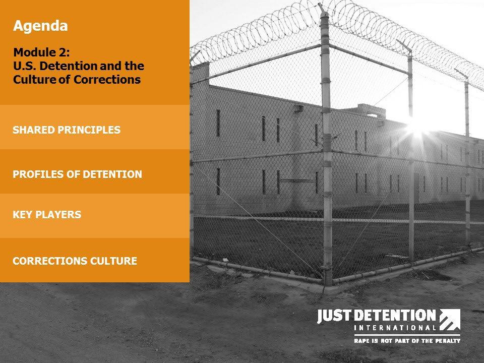 Also, the terms inmates, prisoners, residents, and detainees will be used interchangeably to refer to incarcerated people. The term residents usually will refer to youth.