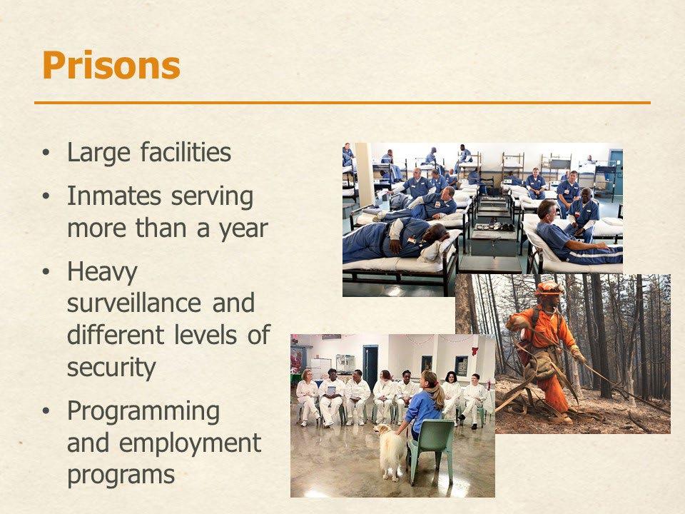 criminal justice or immigration detention system and are not free to leave. Slide 12 Prisons are usually operated by state or the federal government.