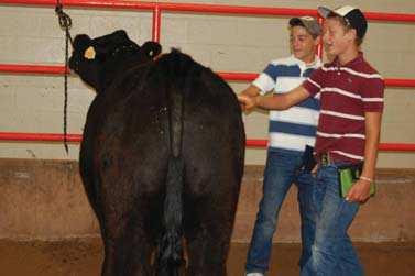 of the most elite and successful livestock judging team coaches in the country as