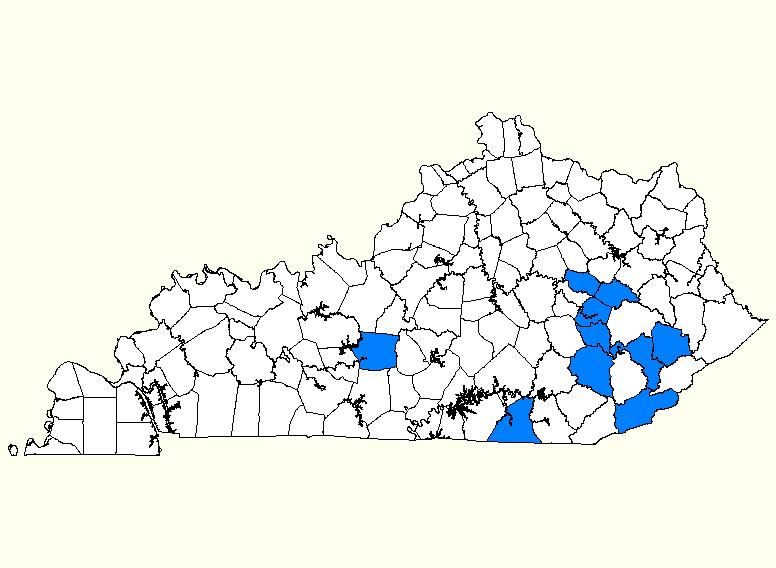 Figure 2. Least healthy counties in Kentucky C.