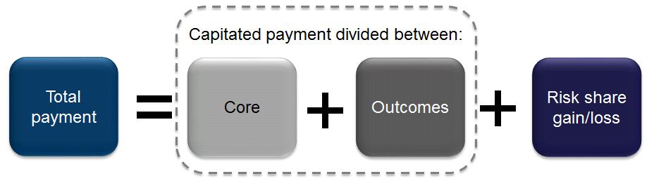 only the core and outcomes components (as in the example above). The option chosen may affect the way parties entering into the payment agreement react to the incentives.