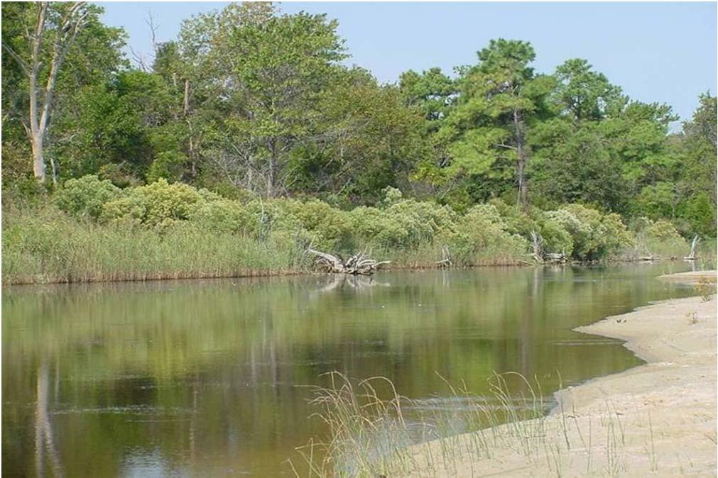 Coastal Wetlands Conservation Grants Authorized by the National Coastal Wetlands Conservation Act Program to