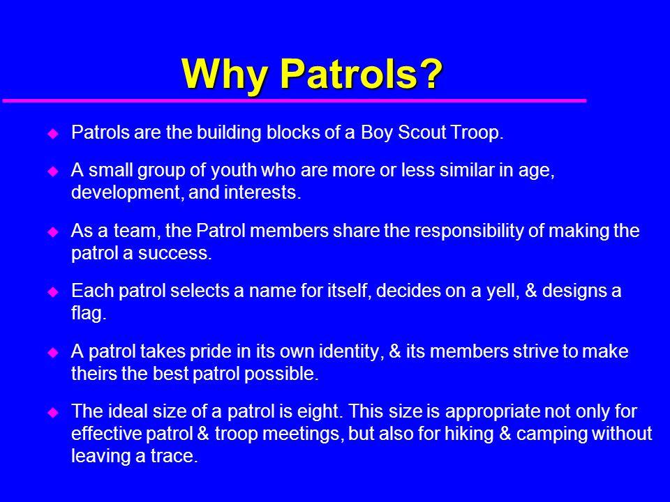 A patrol is the basic team you will